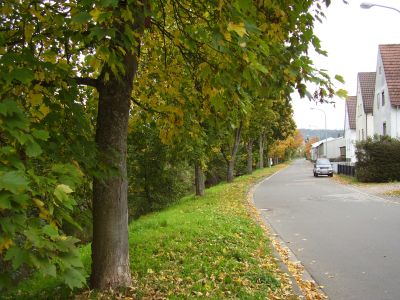 Uferstrasse_Herbst_2010_400